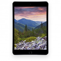 Apple iPad Pro 10.5 in. Wi-Fi + Cellular 256GB